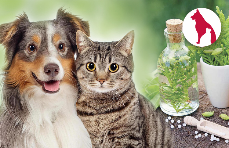 master di naturopatia animale sisbio